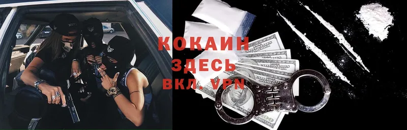 COCAIN Fish Scale  Княгинино 